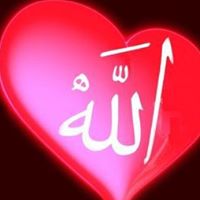 Jalaluddin Ansari Photo 9