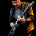 Dana Wolf Photo 38