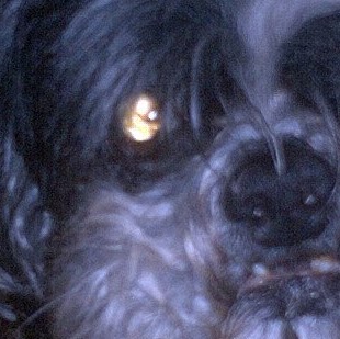 Nancy Rowe Photo 6