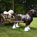 Sarah Rothschild Photo 14