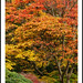 Elizabeth Parks Photo 25