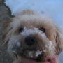 Kathy Newton Photo 20