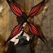 Maria Graves Photo 22