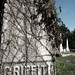 Kristin Griffith Photo 33