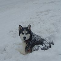 Kathleen Weimer Photo 4