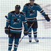 Mike Torrey Photo 21