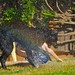 Ruby Rogers Photo 9