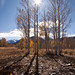 Jeff Bare Photo 21