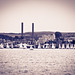 Jason Swain Photo 12