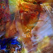 Michele Shapiro Photo 19