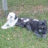 Cynthia Perrin Photo 11
