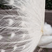 John Peacock Photo 37