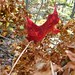 David Riffle Photo 14