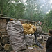 Edna Downing Photo 10