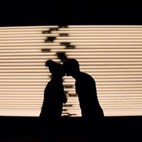 Daniel Mcnicholas Photo 10