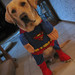 Jake Justice Photo 38
