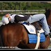 Connie Walter Photo 6