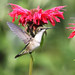 Richard Murrell Photo 30