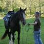 Deborah Hogue Photo 26