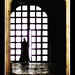 Carol Barbera Photo 5