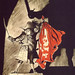 Marc Davis Photo 27