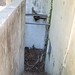 Clark Kerr Photo 14