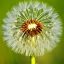 Paul Stevens Photo 54
