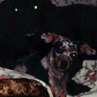 Sheri Weber Photo 16