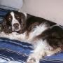 Kathy Howell Photo 40