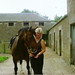 Brooke Irish Photo 14