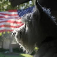 Karen Spaulding Photo 10