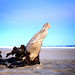Jeffrey Stump Photo 21