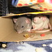 Ruby Humphrey Photo 13