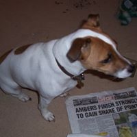 Russell Daniels Photo 15