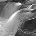 Steven Waters Photo 35