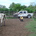 Efrain Reyes Photo 49