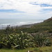 Doreen Simons Photo 6