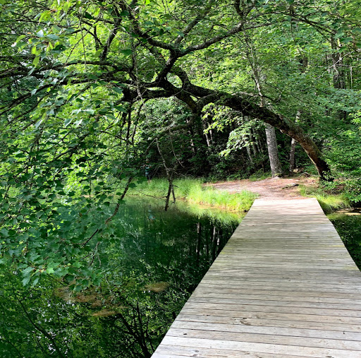 Susan Satterfield Photo 33