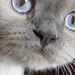 Casper Gray Photo 6