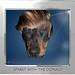 Donald Wiener Photo 6