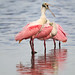 Michael Ding Photo 12