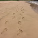 Lorie Waters Photo 12