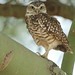 Rick Burrows Photo 14