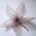 Joy Dore Photo 13
