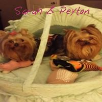 Brenda Shuler Photo 14