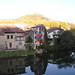Kathy Shutter Photo 9