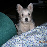 Dianne Fulton Photo 15