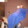 Dan Hall Photo 7