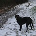 Julie Snow Photo 41