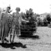 Ann Sims Photo 16